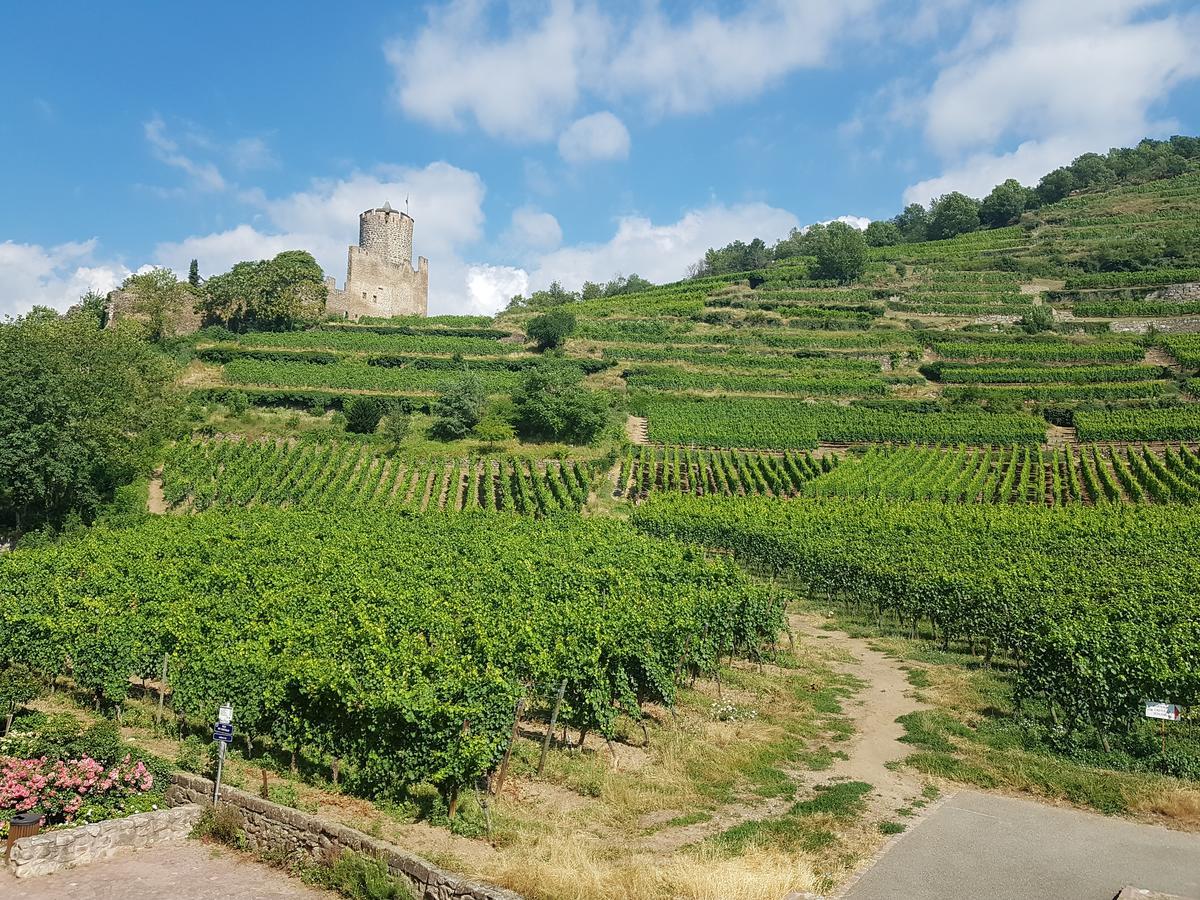 Kaysersberg City Center - Cote Vignoble - Exterior foto